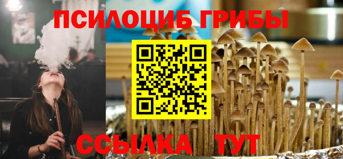 Аксай  Псилоцибиновые грибы Psilocybine cubensis  Псилоцибиновые грибы мицелий  Вход с VPN 